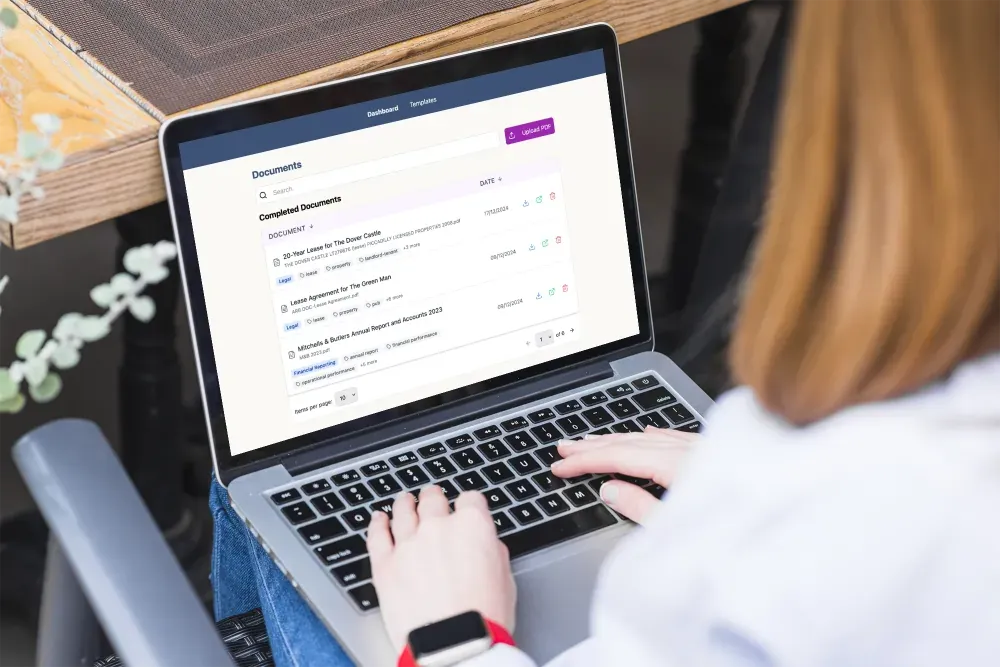 BAiSICS AI legal document analysis platform interface